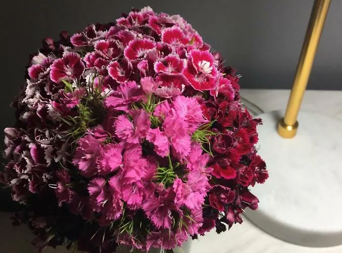 Apart. Madeira 4 Apartamento Funchal (Madeira)