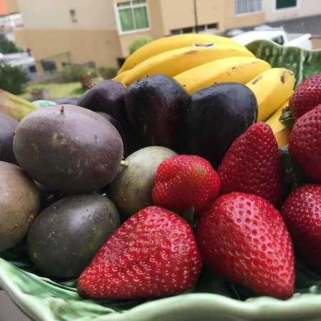 Apart. Madeira 4 Appartamento *